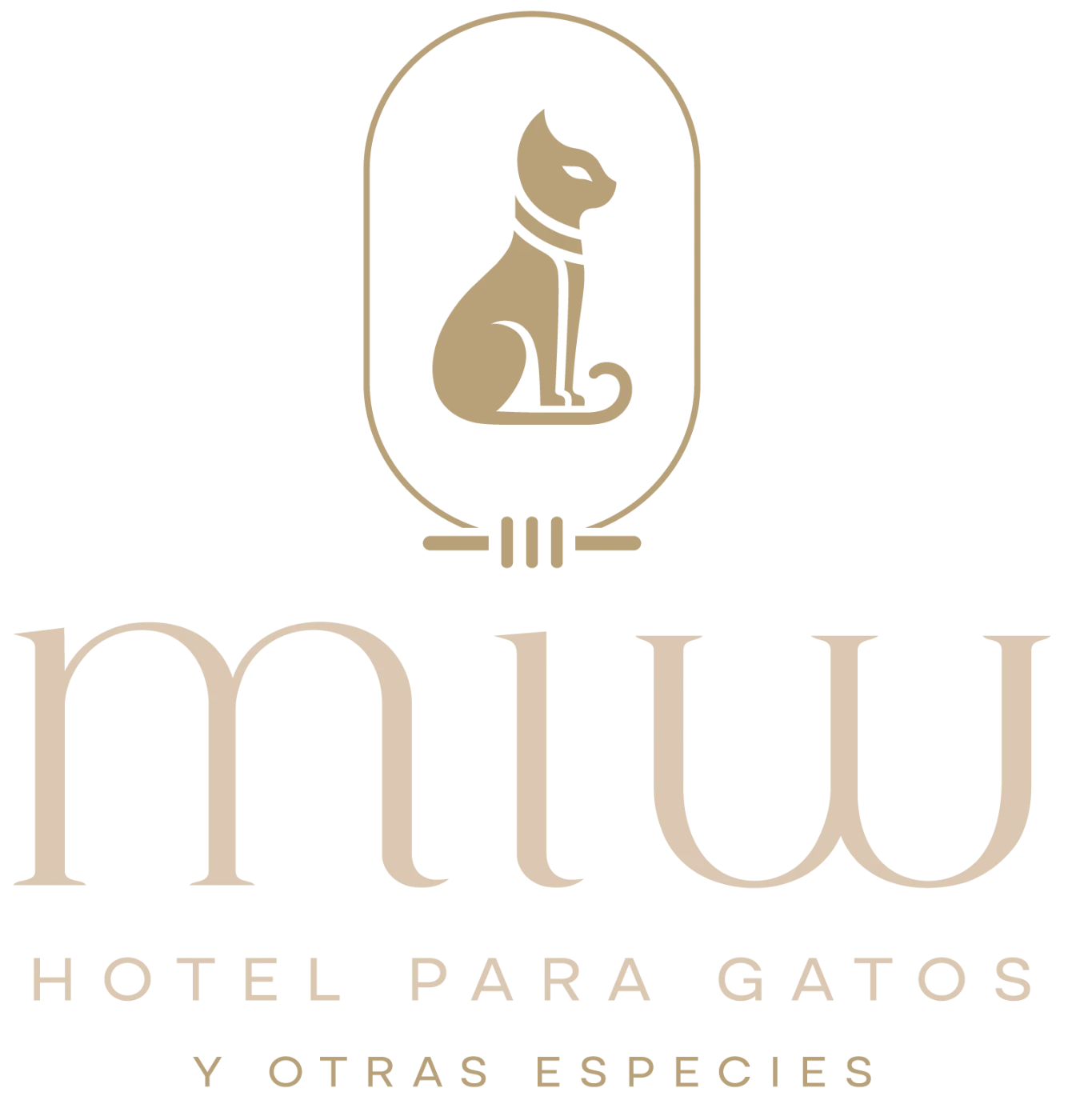 Miw Hotel para gatos y otras especies